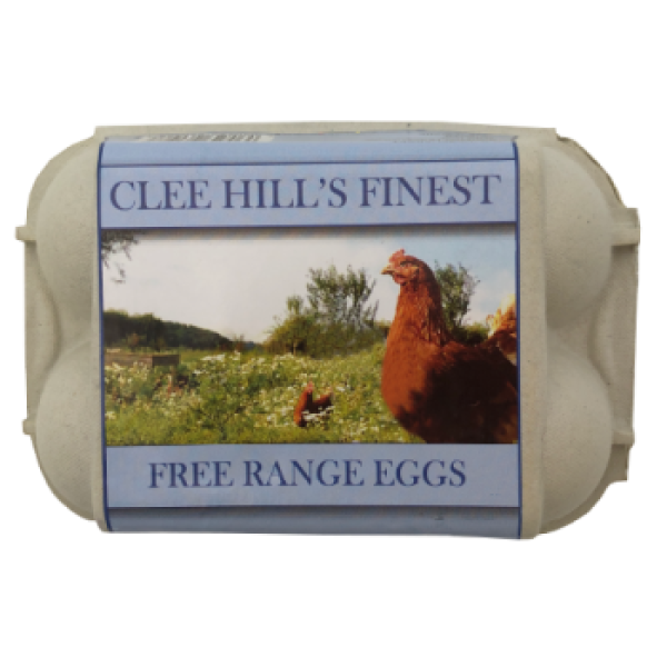  Free Range Eggs Large